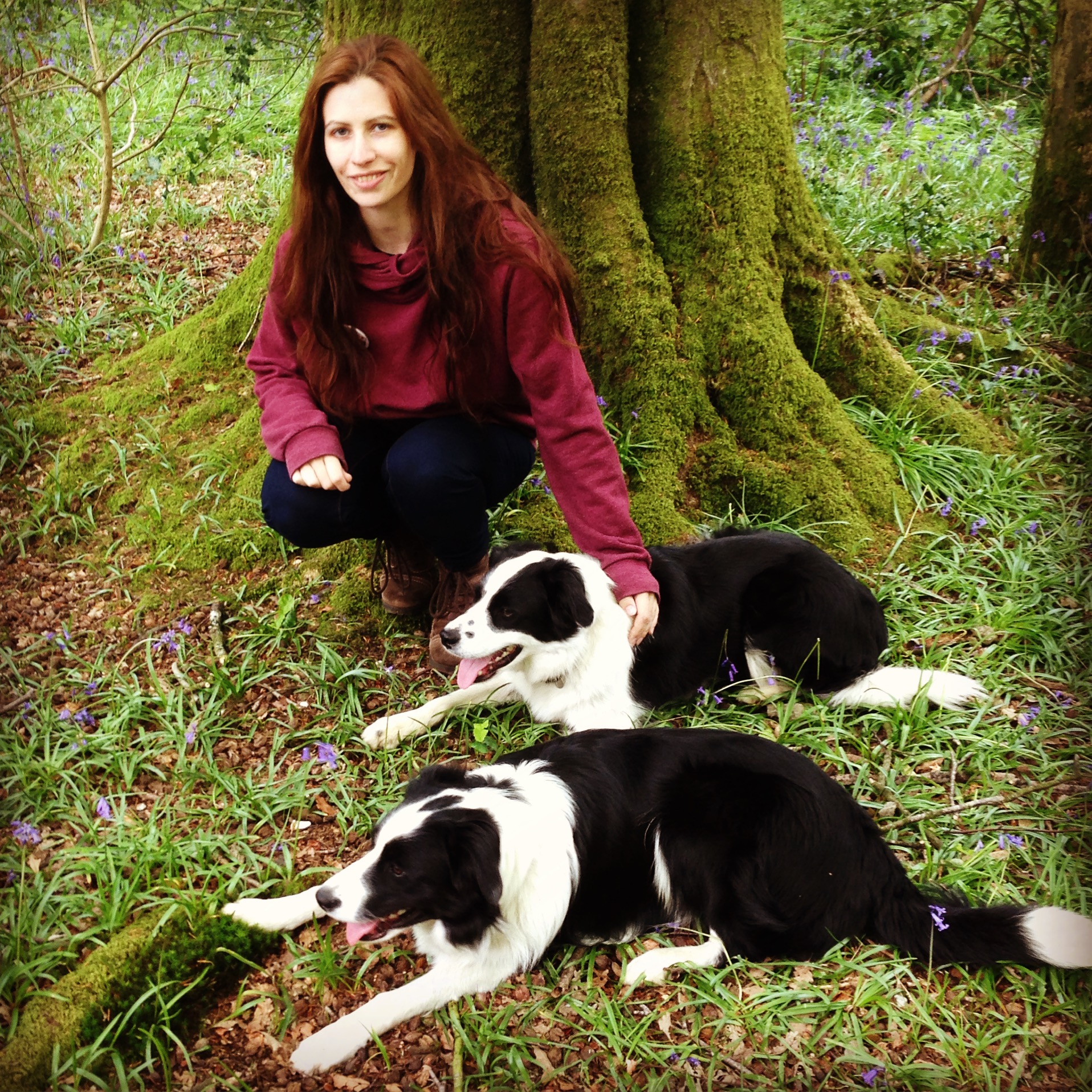 Exeter Soup is a recipe for innovation The Exeter Daily